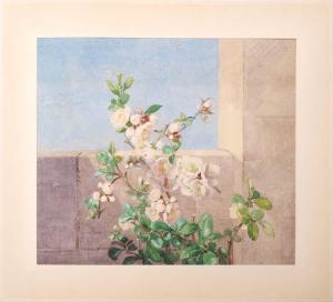 STOCKAR ESCHER Clementine 1816-1886,Kirschblütenzweig vor einer Mauer,Bloss DE 2015-07-06