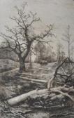 STOCOMBE E,Felled Trees,Shapes Auctioneers & Valuers GB 2012-02-04