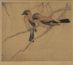 STOKES George Vernon 1873-1954,Jays and Goldfinch,Great Western GB 2024-02-01