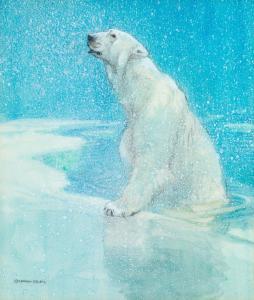 STOKES George Vernon 1873-1954,Polar Bear emerging from the frozen waters,Tennant's GB 2024-03-16