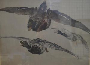 STOKES George Vernon 1873-1954,Preparatory study for flying ducks,Andrew Smith and Son GB 2016-06-26