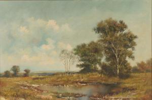 stoller 1900-1900,Seasonal landscape with marshy foreground,Ripley Auctions US 2009-05-31