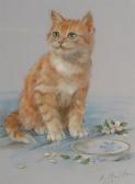 STOLTZ Heinrich 1900-1900,Portrait of a cat, with 2 others similar by the sa,Bonhams GB 2004-06-22