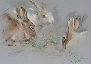 STOLTZ Heinrich 1900-1900,Rabbits, with 3 other pastels by the same hand,Bonhams GB 2004-06-22