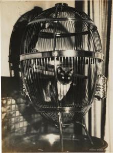 STONE Sasha 1895-1940,Siamkatze in einem Käfig,1920,Palais Dorotheum AT 2024-01-25