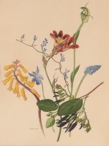 STONES Margaret Elsie 1920-2018,Untitled (Botanical Study),Leonard Joel AU 2022-10-04