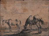 STOOP DIRK 1610-1686,GRAZING HORSE from the series of HORSES,Potomack US 2022-03-23