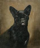 STOOPENDAAL Ferdinand 1850,French Bulldog,Bonhams GB 2012-02-15