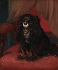 STORCH Frederik Ludwig 1805-1883,A sitting dog,Bruun Rasmussen DK 2024-03-04