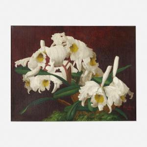STORER Charles 1817-1907,Orchids,1902,Rago Arts and Auction Center US 2021-04-28