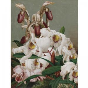 STORER Charles 1817-1907,Orchids,1907,Sotheby's GB 2006-03-01