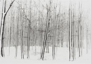 STRACHE Wolf 1910-2001,Winter Forest on Rügen,Lempertz DE 2023-12-01