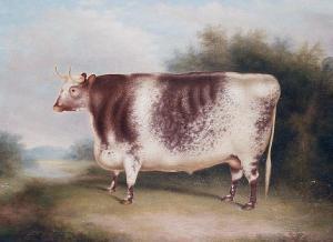 STRAFFORD Henry 1800-1800,A Shorthorn bull in an open landscape,Bonhams GB 2008-09-09