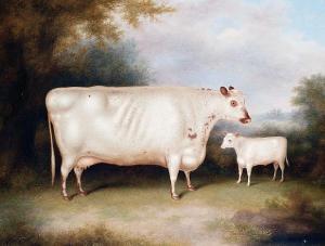 STRAFFORD Henry 1800-1800,A white cow and calf in an openlandscape,Bonhams GB 2008-09-09
