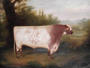 STRAFFORD Henry 1800-1800,An Ayrshire bull in a landscape,Bonhams GB 2008-09-09