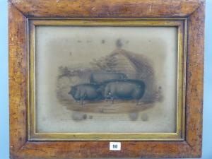 STRAFFORD Henry 1800-1800,Three Essex pigs bred,1843-44,Rogers Jones & Co GB 2016-03-22