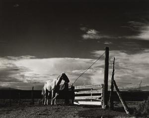 STRAND Paul 1890-1976,The White Horse, Ranchos de Taos, New Mexico,1932,Swann Galleries 2024-02-15