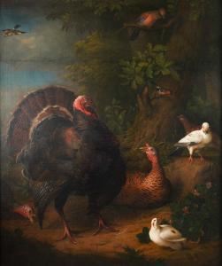 STRANOVIUS Tobias 1684-1753,A turkey, jay, goldfinch, bullfinch and o,Bellmans Fine Art Auctioneers 2023-10-10