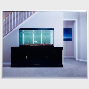 STRASSHEIM ANGELA 1969,Fish Tank,2003,Stair Galleries US 2021-06-02