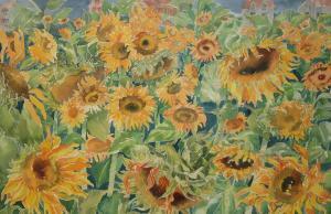 STRATTON Sheila,A Field of Sunflowers,Keys GB 2013-10-04