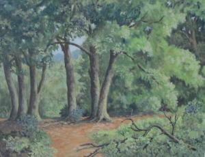 STREET Edward Eric 1900-1900,In Selborne Woods,Halls GB 2023-03-08