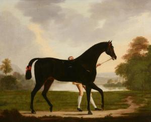 STRINGER Francis 1740-1790,A dark bay thoroughbred held by a groom in an exte,Dreweatts 2016-12-13