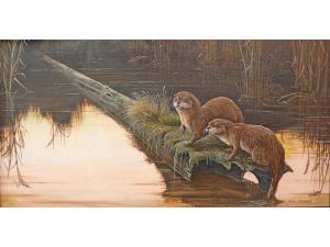 STROUD Ken 1937,Otters seated on a log in a river,Chilcotts GB 2010-04-24