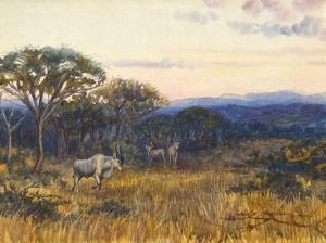 STRUBEN Edith Francis Mary 1868-1936,Eland in Bushveld,5th Avenue Auctioneers ZA 2017-06-11