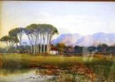 STRUBEN Edith Francis Mary 1868-1936,Rondebosch Common,Ashbey's ZA 2009-12-10