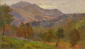 STRUTT Alfred William 1856-1924,A mountainous wooded landscape,Peter Wilson GB 2022-04-14