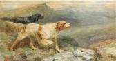 STRUTT Alfred William 1856-1924,An English and a Gordon Setter on the point,Christie's GB 2005-11-29