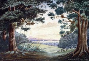 STUART Sam 1855-1920,View to Mt Karioi through Trees,International Art Centre NZ 2012-07-26
