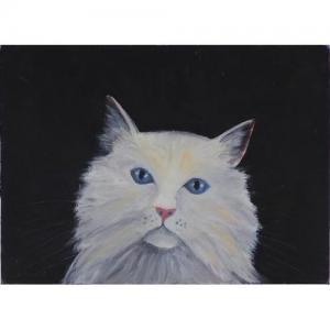 STUBBERFIELD Mary,white cat,Eastbourne GB 2017-06-10