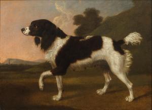 STUBBS George 1724-1806,A black and white spaniel pointing to the left, in,Bonhams GB 2022-07-06