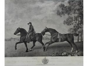 STUBBS George 1724-1806,TWO HUNTERS,1792,Lawrences GB 2017-01-20