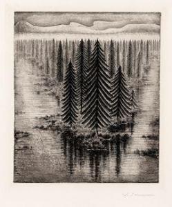 Stuyvaert victor 1897-1974,Vue de forêt,1955,Millon & Associés FR 2021-11-30