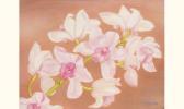 SUGIMOTO Kasuko 1900-1900,orchidées,Tajan FR 2003-06-26