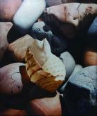 SUPARAT KANON Payab 1969,PEBBLES AND SHELL,2004,33auction SG 2009-05-03