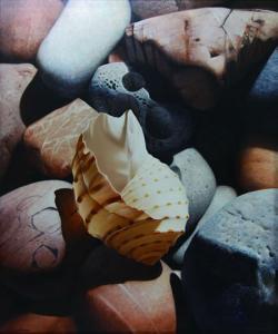 SUPARAT KANON Payab 1969,PEBBLES AND SHELL,2004,33auction SG 2009-05-03