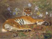 SURAND Gustave 1860-1937,Tigre de l'Annam: A proud predator,Christie's GB 2008-07-02