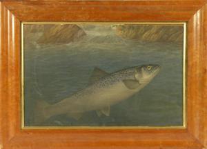SUSINI J,A trout leaping at a dragonfly,Woolley & Wallis GB 2008-01-08