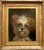 SUTCLIFFE John 1853-1856,A Yorkshire Terrier,Rosebery's GB 2011-06-14
