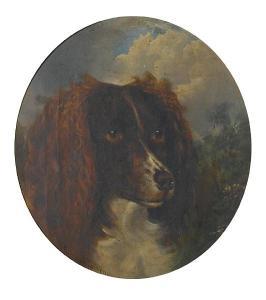 SUTCLIFFE John 1853-1856,Portrait of a Springer Spaniel,Bonhams GB 2009-02-10