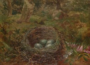 SUTCLIFFE Tom 1900,Still lives of birds nests,1922,Bonhams GB 2006-04-11