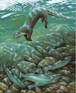 SUTTERBY Roderick,An otter and grilse,2000,Christie's GB 2002-11-28