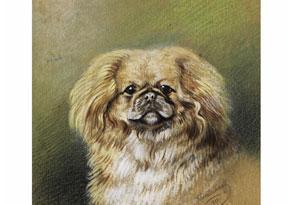 SVERCHKOV George 1872-1957,PEKINESE,Hampel DE 2009-03-28