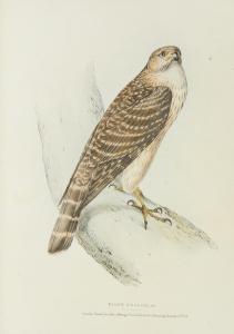 SWAINSON William 1809-1884,Fauna Boreali-Americana, or the Zoology of the Nor,Bonhams GB 2013-06-19
