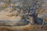 SWALLOW JOHN CHARLES 1836-1876,Paysage au lapin,19th century,Damien Leclere FR 2019-03-29