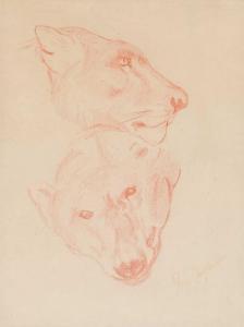 SWAN John Macallan 1847-1910,Study of a bears head and a lionesses head,Tennant's GB 2022-09-23