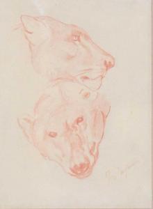 SWAN John Macallan 1847-1910,Study of a bears head and a lionesses head,Tennant's GB 2022-10-28